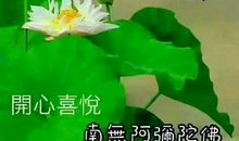 生活的等待_600字