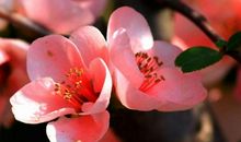 第五十三则：谨守规模 但足衣食