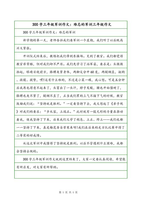 军事训练组成：一个乐趣和庄严的军事训练_700字