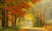 第一三一则：退一步易处世 功将成莫松劲