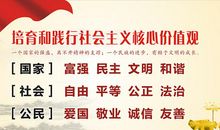 践行社会主义价值观议论文素材