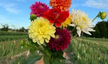 第一二Ｏ则：勿与人争 惟求己知