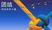 关于军训的作文：有种力量叫团结_800字