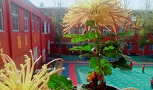 第一三四则：诗书立业 孝悌做人