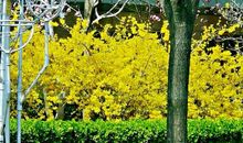 第二一二则：静敬为学 教除骄惰