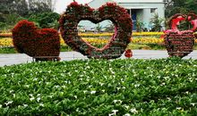 让爱串起你、我、他_1000字