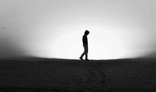 第一七九则：观已然知未然 尽其然听其然