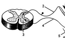 第二一五则：欲利己，便是害己