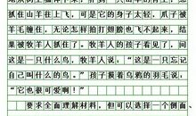 认知事物_800字