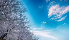 雨中的安顺_450字