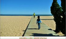 生活在别处_1000字