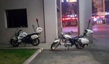 月光高高掛起_550字