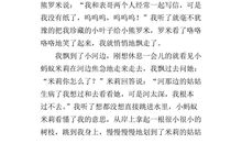 高一想象作文：洗发水的自述_600字