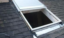 屋顶天窗鸟_1500字