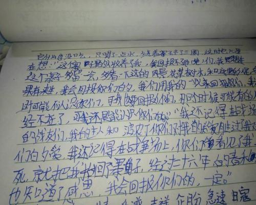 你知道_200字吗？
