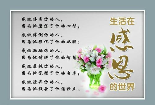 谢谢唯一的明亮灯_550字