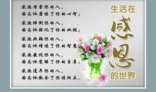 感恩心中那唯一的光明_550字