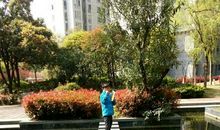 与真善美同行_1000字