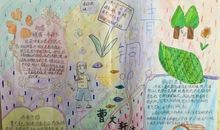 关于《青铜葵花》的杂想_1000字