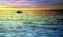 相寻梦里路，飞雨落红中_900字