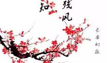 诗意的快乐_750字