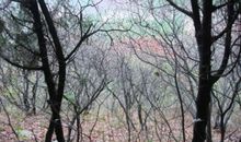 一场秋雨，一场梦_700字