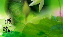 淡淡的爱，需要静静的回忆_800字