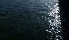 生命不相信如果_750字