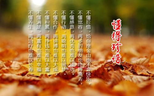也许，我已经学会了珍惜它。