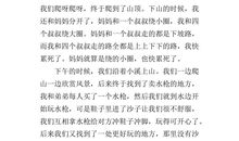 珍珠城游记_500字