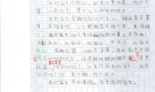 关于照片的作文：我最欣赏的照片_1000字