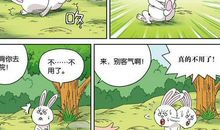 兔子和刺猬的赛跑_350字