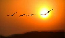 高三想象作文：神奇的座椅_700字