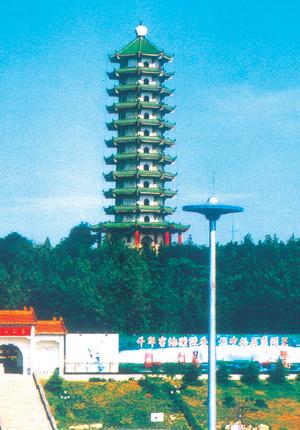 美丽的塔莎帕克_700字