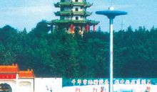 美丽的塔山公园_700字