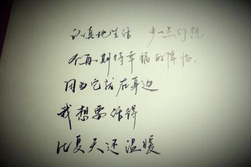 我的大姐姐_400字