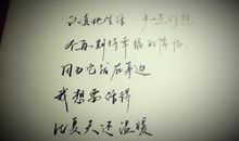 我的大姐_400字