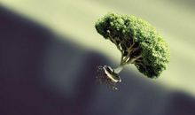 关于记忆，沉淀_900字