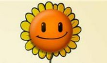 九月，愿友情未央_1000字