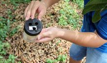 蚊子“大扫荡”_750字