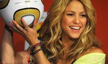 听世界杯有感_400字