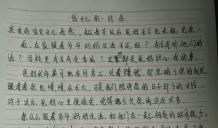 我的高中_800字