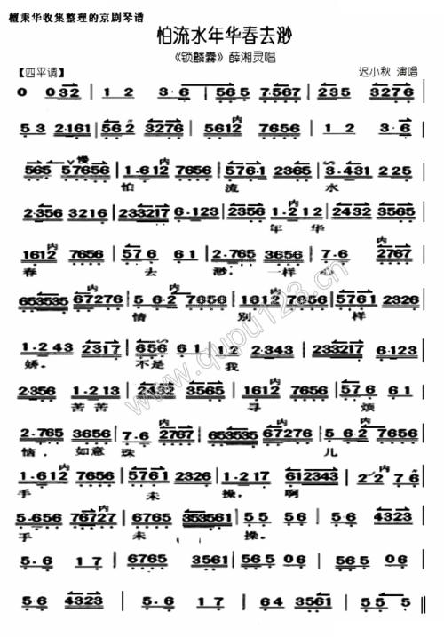 水水中国新年_800字
