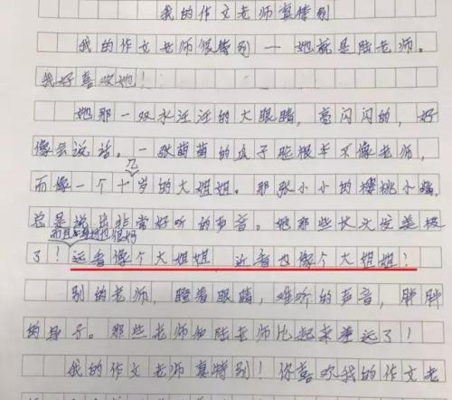 照片上的组成：照片的故事_450字