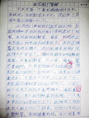 照片上的组成：照片_450字
