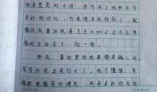 关于照片的作文：一张照片的故事_400字