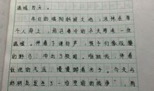 关于照片的作文：照片_700字