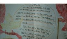 关于照片的作文：那一张永生难忘的照片_800字