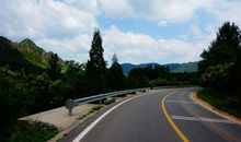 朴实的天津司机_800字