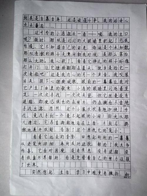 照片上的组成：让我令人震惊的旧照片_550字